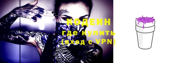 спиды Богданович