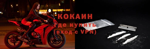 спиды Богданович