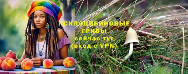 скорость Богородицк