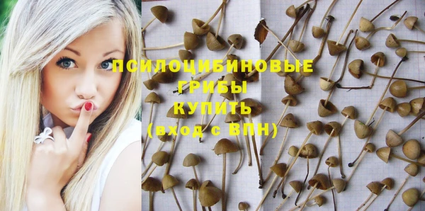 Альфа ПВП Белоозёрский