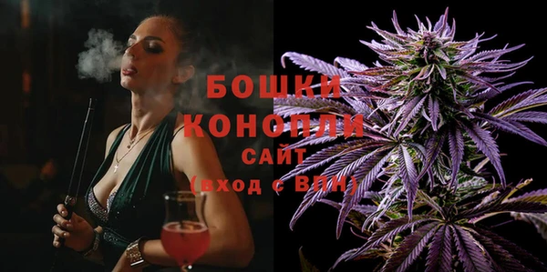 шишки Беломорск