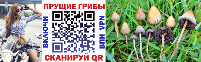 Псилоцибиновые грибы Magic Shrooms  Киржач 